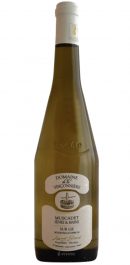 Muscadet Sèvre et Maine Sur Lie