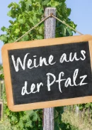 Weinprobenseminar am 08.05.2026: <br> Die Pfalz